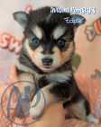 Exclusive Pomsky Puppies~ 2 Puppies Available  - Photo 5 of 10