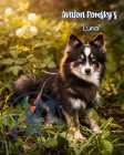 Exclusive Pomsky Puppies~Waitlist Open for Fall - Photo 1 of 4