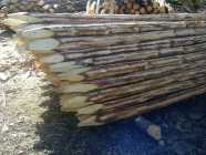 Fence Posts and Rails available