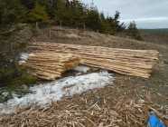 Fence Posts and rails available - Photo 1 of 2