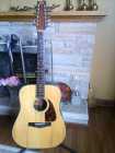 Fender 310  12 string electric /acoustic