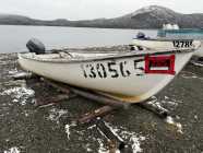 Fibreglass Boat & Engine