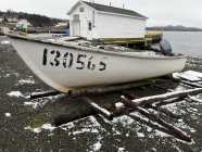 Fibreglass Boat & Engine - Photo 1 of 4