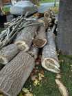 FIREWOOD