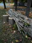 FIREWOOD - Photo 4 of 5