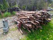 Firewood