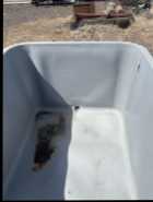 Fish tub - Photo 2 of 3