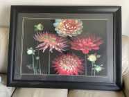Framed Artwork