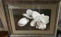 Framed Flower Picture