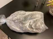 Free - Frozen IQF Caplin - about 5 lbs