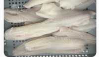 FRESH COD PETTY HARBOR $5/LB