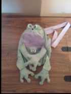 Frog bag