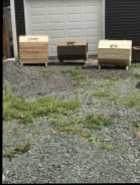 Garbage boxes 