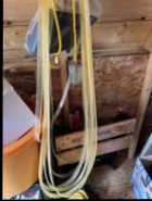 Garden Hose
