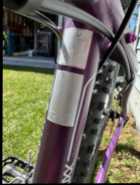 Giant Liv Tempt 4 Ladies/Youth Bike - Photo 1 of 3