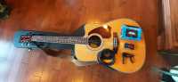 Guitar for Sale - Ibanez Acoustic Electric