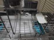 Hagen Vision Bird Cage - Photo 3 of 6