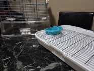 Hagen Vision Bird Cage - Photo 5 of 6