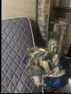 hardtop camper cushions - Photo 1 of 3