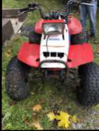 Honda 200sx - Photo 3 of 4