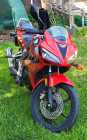 Honda CBR Motorcycle
