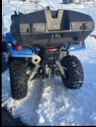 Honda Rubicon 520  - Photo 1 of 10