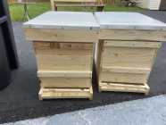 Honeybee Hive Equipment  - Photo 1 of 2