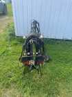 Horse Harness 