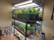 Indoor garden set-up