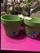 Indoor Plant (with pot) – $5 - Photo 1 of 3