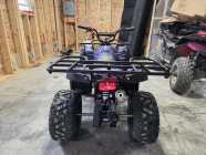 Kids ATV's  - Photo 5 of 8