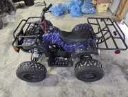 Kids ATV's  - Photo 7 of 8
