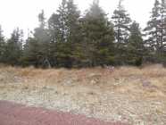 Land for Sale in Bristol’s Hope - Photo 1 of 2