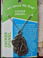 Lead Free, Lead Free, Nickel Free, Cadmium Free Pe