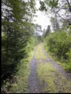 Lewisporte Junction - nearly an acre w/small cabin