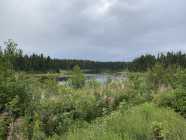 Lewisporte Junction - nearly an acre w/small cabin - Photo 9 of 20