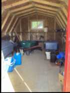 Lewisporte Junction - nearly an acre w/small cabin - Photo 11 of 20