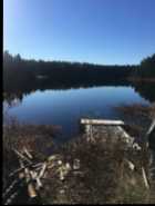 Lewisporte Junction - nearly an acre w/small cabin - Photo 4 of 20