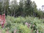 Lewisporte Junction - nearly an acre w/small cabin - Photo 6 of 20