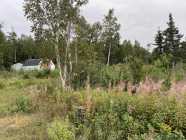 Lewisporte Junction - nearly an acre w/small cabin - Photo 8 of 20