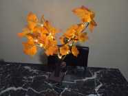 Light-Up Autumn Tree