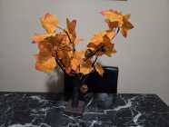Light-Up Autumn Tree - Photo 1 of 3