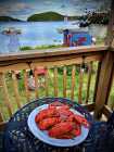 Little Bay Islands House - Photo 6 of 23