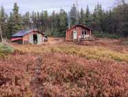 Log Cabin For Hunting and Recreation 