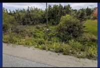 Lot#318 Shamblers Cove Road (New Wes Valley) - Photo 4 of 5