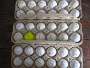 Lots of Golf Balls - Photo 5 of 6