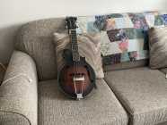 Mando Guitar Gold Tone 