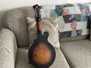 Mando Guitar Gold Tone  - Photo 1 of 3