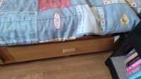Mates bed with Bookcase KELLIGREWS PIC UP ONLY  - Photo 6 of 9