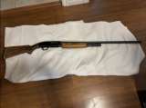 Mossberg 12ga